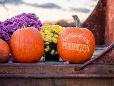 Outrageous Pumpkins set, as seen on Outrageous Pumpkins, season 1.