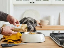 45 Gifts Pets and Pet Owners Will Love