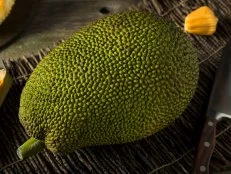 Homemade Organic Fresh Jackfruit Ready to Eat