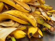 many yellow banana peels just Peel to store organic waste