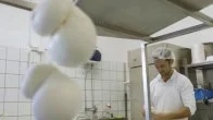 Mozzarella and Burrata