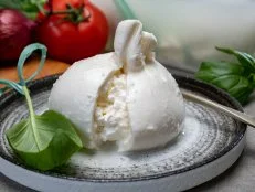 Eating of fresh handmade soft Italian cheese from Puglia, white balls of burrata or burratina cheese made from mozzarella and cream filling close up